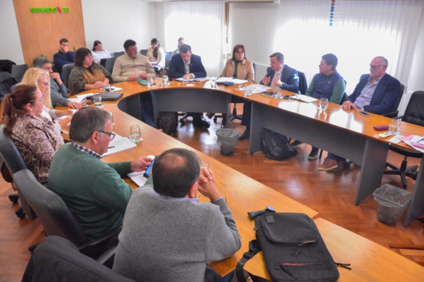 Comisiones del Senado: dictamen para crear un Juzgado en Concordia y avances en varios proyectos de ley