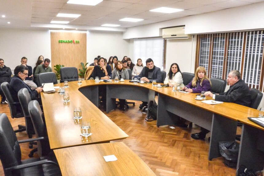 Senado: se reunió la Comisión Bicameral de Derechos Humanos