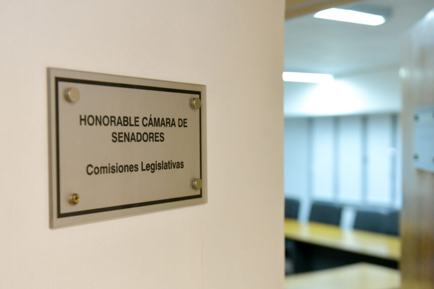 Senado: Trabajo en comisiones y convocatoria a sesión ordinaria