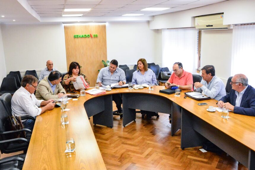 Comisiones: análisis y avances en el estudio de varios proyectos de ley
