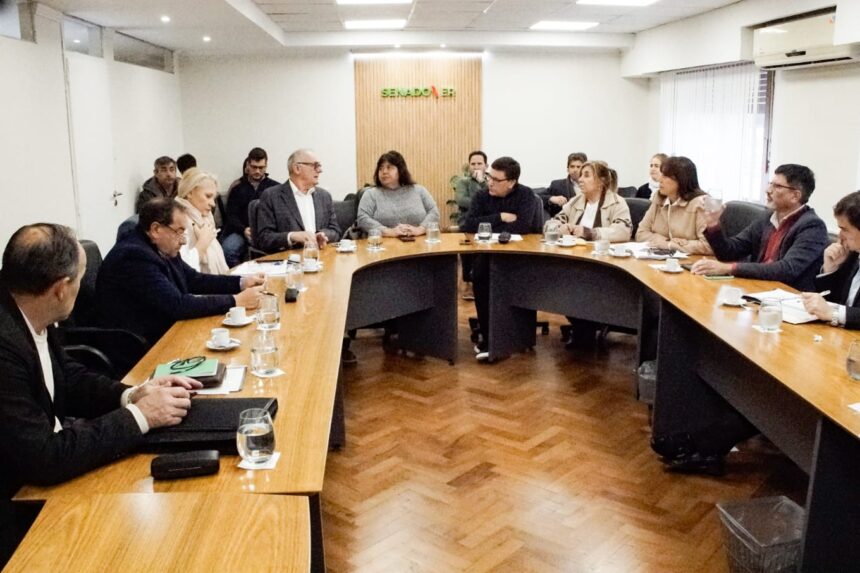 Senadores analizaron proyectos: Consorcios Camineros y modificación de Ley de Obras Públicas